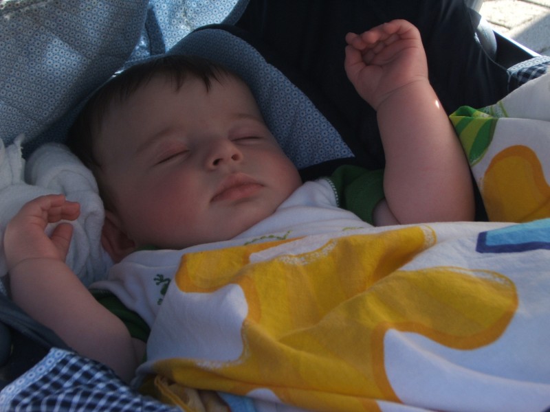 Palo Alto-Gal 6.2005 595.jpg